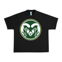 Black The colorado state rams Urban Heavy Tee - linhVisuals