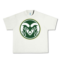Pistachio The colorado state rams Urban Heavy Tee - linhVisuals