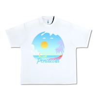 White pensacola t  shirt no place like pensacola t  shirt Urban Heavy Tee - linhVisuals