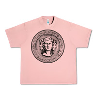 Salmon city college of new york seal Urban Heavy Tee - linhVisuals