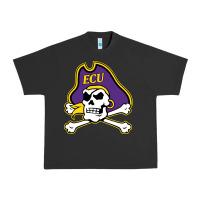 Pigment Black The east carolina pirates Urban Heavy Tee - linhVisuals