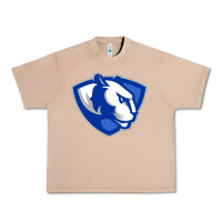 Burro The eastern illinois panthers Urban Heavy Tee - linhVisuals