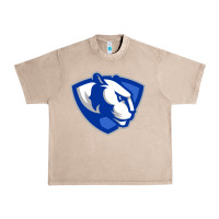 French Oak The eastern illinois panthers Urban Heavy Tee - linhVisuals