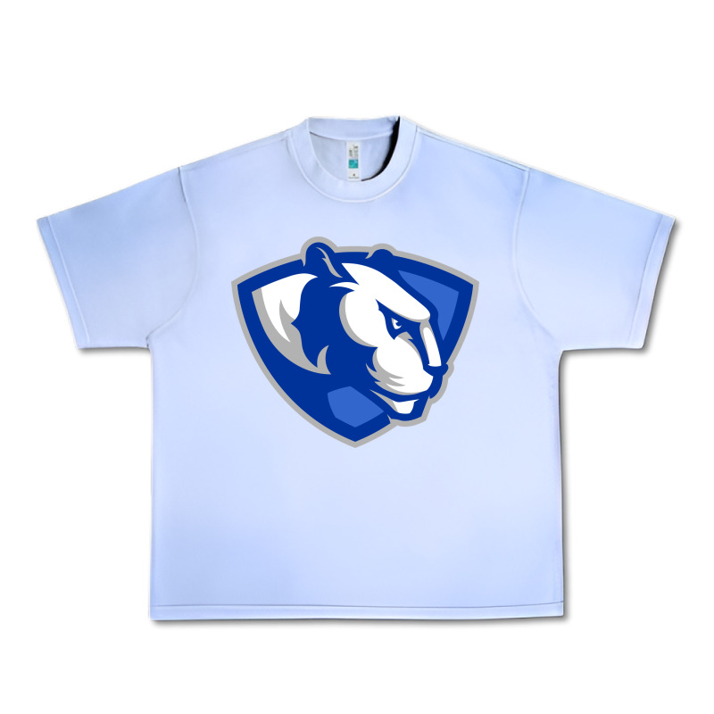 The Eastern Illinois Panthers Urban Heavy Tee by linhVisuals | Teevron