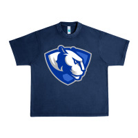 Navy The eastern illinois panthers Urban Heavy Tee - linhVisuals