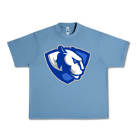 Pebble Blue The eastern illinois panthers Urban Heavy Tee - linhVisuals