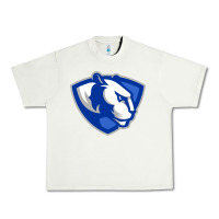 Pistachio The eastern illinois panthers Urban Heavy Tee - linhVisuals