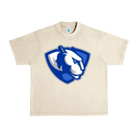 Sandshell The eastern illinois panthers Urban Heavy Tee - linhVisuals