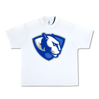 White The eastern illinois panthers Urban Heavy Tee - linhVisuals