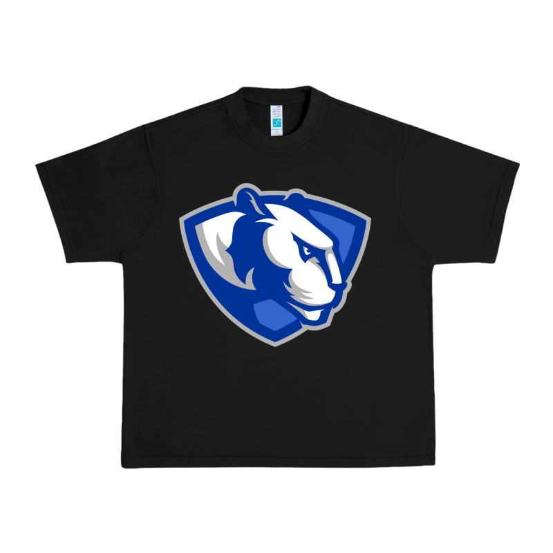 The Eastern Illinois Panthers Urban Heavy Tee by linhVisuals | Teevron