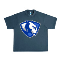 Midnight Navy The eastern illinois panthers Urban Heavy Tee - linhVisuals