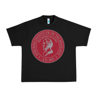 Black stevens institute of technology Urban Heavy Tee - linhVisuals