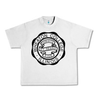 Lunar Rock wheaton college illinois Urban Heavy Tee - linhVisuals