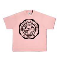 Salmon wheaton college illinois Urban Heavy Tee - linhVisuals