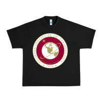 Black florida institute of technology Urban Heavy Tee - linhVisuals