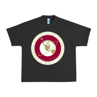 Pigment Black florida institute of technology Urban Heavy Tee - linhVisuals