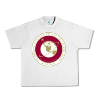 Lunar Rock florida institute of technology Urban Heavy Tee - linhVisuals