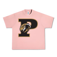 Salmon poolesville high school Urban Heavy Tee - linhVisuals