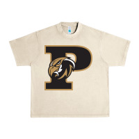 Sandshell poolesville high school Urban Heavy Tee - linhVisuals