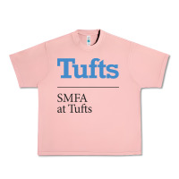 Salmon SMFA at Tufts Urban Heavy Tee - linhVisuals