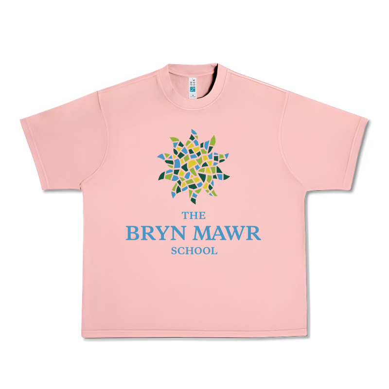 Bryn Mawr School Urban Heavy Tee by linhVisuals | Teevron