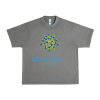 Tornado bryn mawr school Urban Heavy Tee - linhVisuals