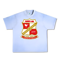 Grape Ice the swindon Urban Heavy Tee - linhVisuals