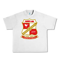 Lunar Rock the swindon Urban Heavy Tee - linhVisuals
