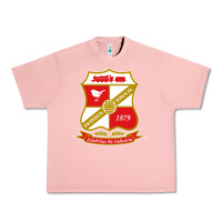 Salmon the swindon Urban Heavy Tee - linhVisuals