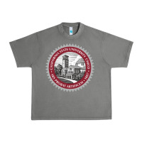 Tornado csu chico seal Urban Heavy Tee - linhVisuals