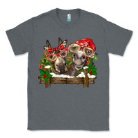 Charcoal Heather Christmas donkeys Classic Tee - BarkalooDesign