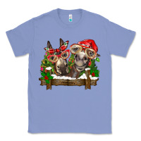 Colony Blue Christmas donkeys Classic Tee - BarkalooDesign