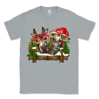 Heather Grey Christmas donkeys Classic Tee - BarkalooDesign
