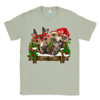 Matcha Christmas donkeys Classic Tee - BarkalooDesign