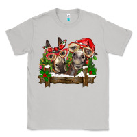 Moon Dust Christmas donkeys Classic Tee - BarkalooDesign