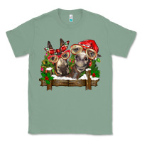 Sage Christmas donkeys Classic Tee - BarkalooDesign