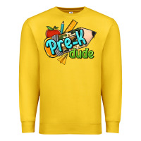 Pre K Dude Premium Sweatshirt | Teevron