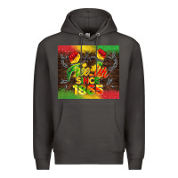 Smoke free ish since 1865 Premium Hoodie - BarkalooDesign
