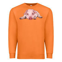 Carrot baby pig Premium Sweatshirt - RanaPortraitStore