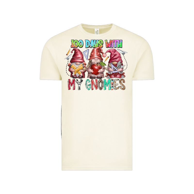 100 Days With My Gnomies Vintage Tee by RacoonDesign | Teevron