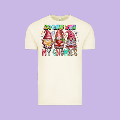100 Days With My Gnomies Vintage Tee Designed By Racoondesign