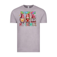 Vintage Zinc 100 days with my gnomies Vintage Tee - RacoonDesign