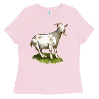 Bubblegum Pink cashmere goat Ladies Tee - LillyAllenDesigns