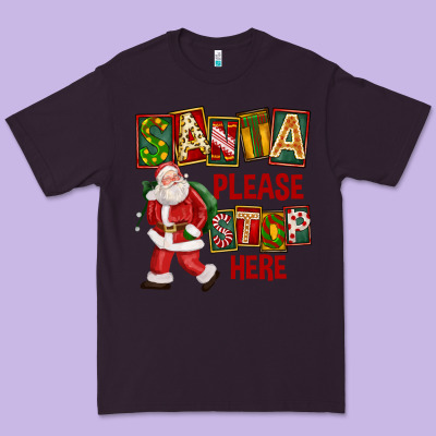 Santa Please Stop Here Premium Tee Designed By Fadigitalartstudio