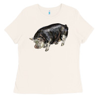 Bone poland china pig Ladies Tee - LillyAllenDesigns