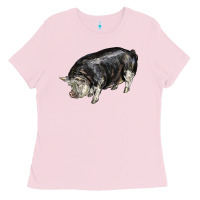 Bubblegum Pink poland china pig Ladies Tee - LillyAllenDesigns