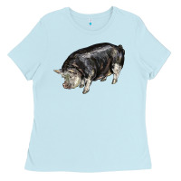 Baby Blue poland china pig Ladies Tee - LillyAllenDesigns