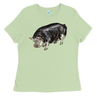 Matcha poland china pig Ladies Tee - LillyAllenDesigns