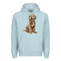 Blue Mist goldendoodle Premium Hoodie - BarkalooDesign