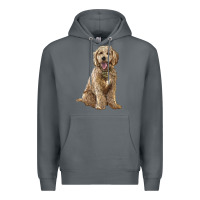 Rock goldendoodle Premium Hoodie - BarkalooDesign